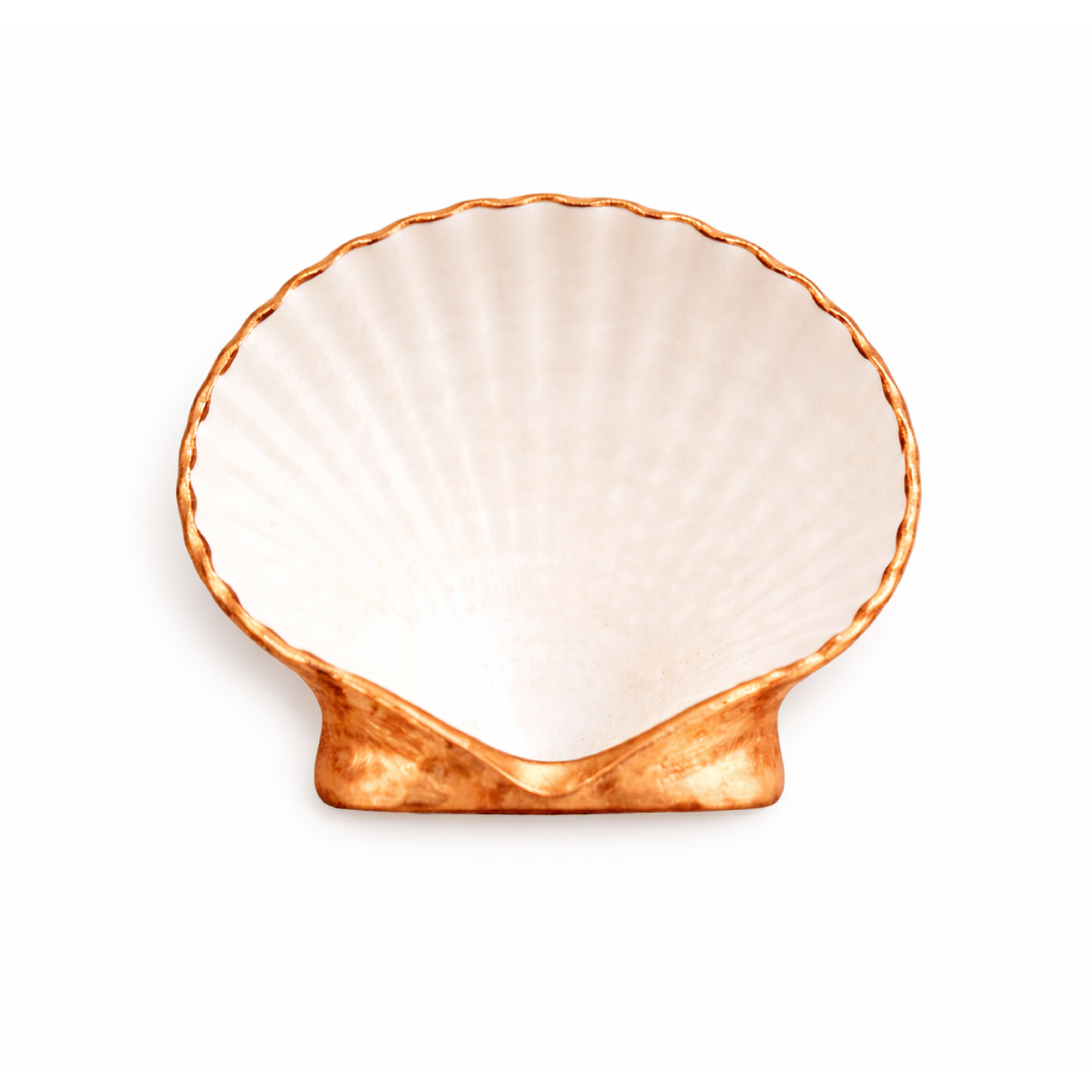 The Lido Scallop