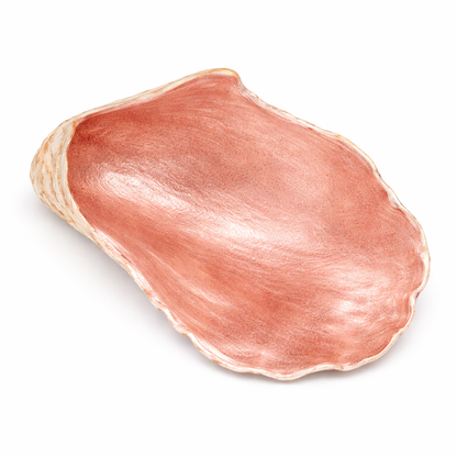 The Alys Oyster