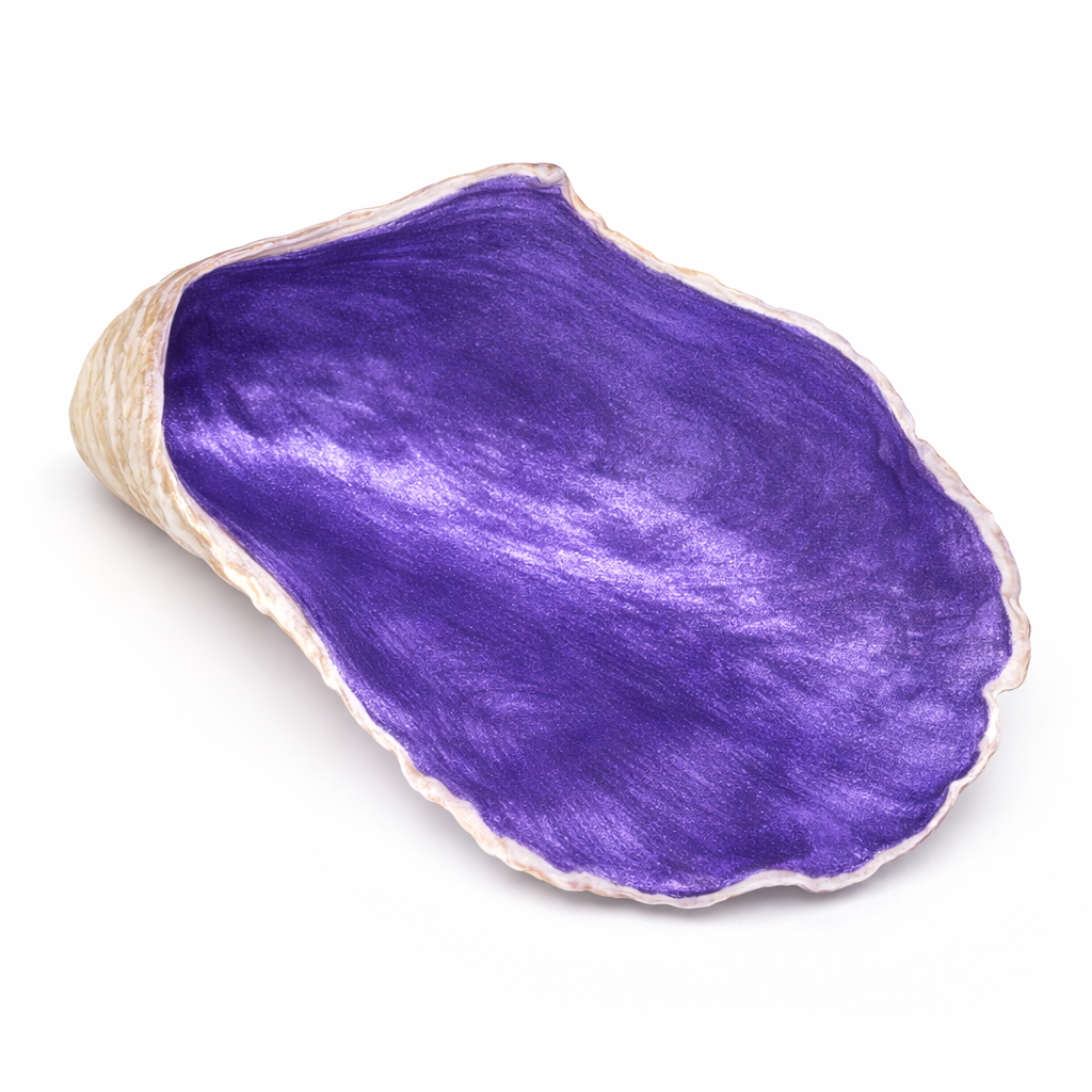 The Alys Oyster