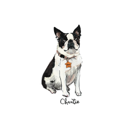 Pet Portrait