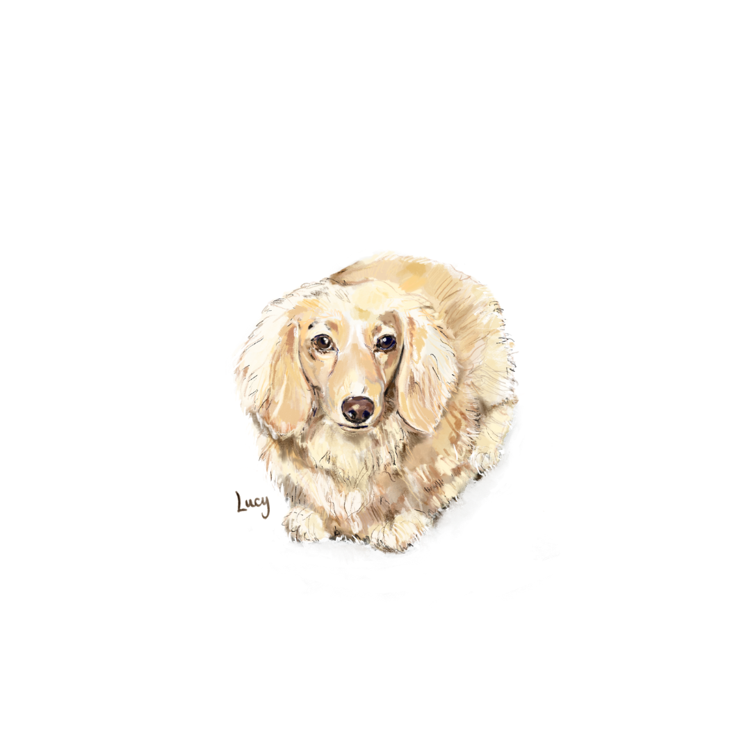 Pet Portrait