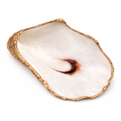 The Seagrove Oyster