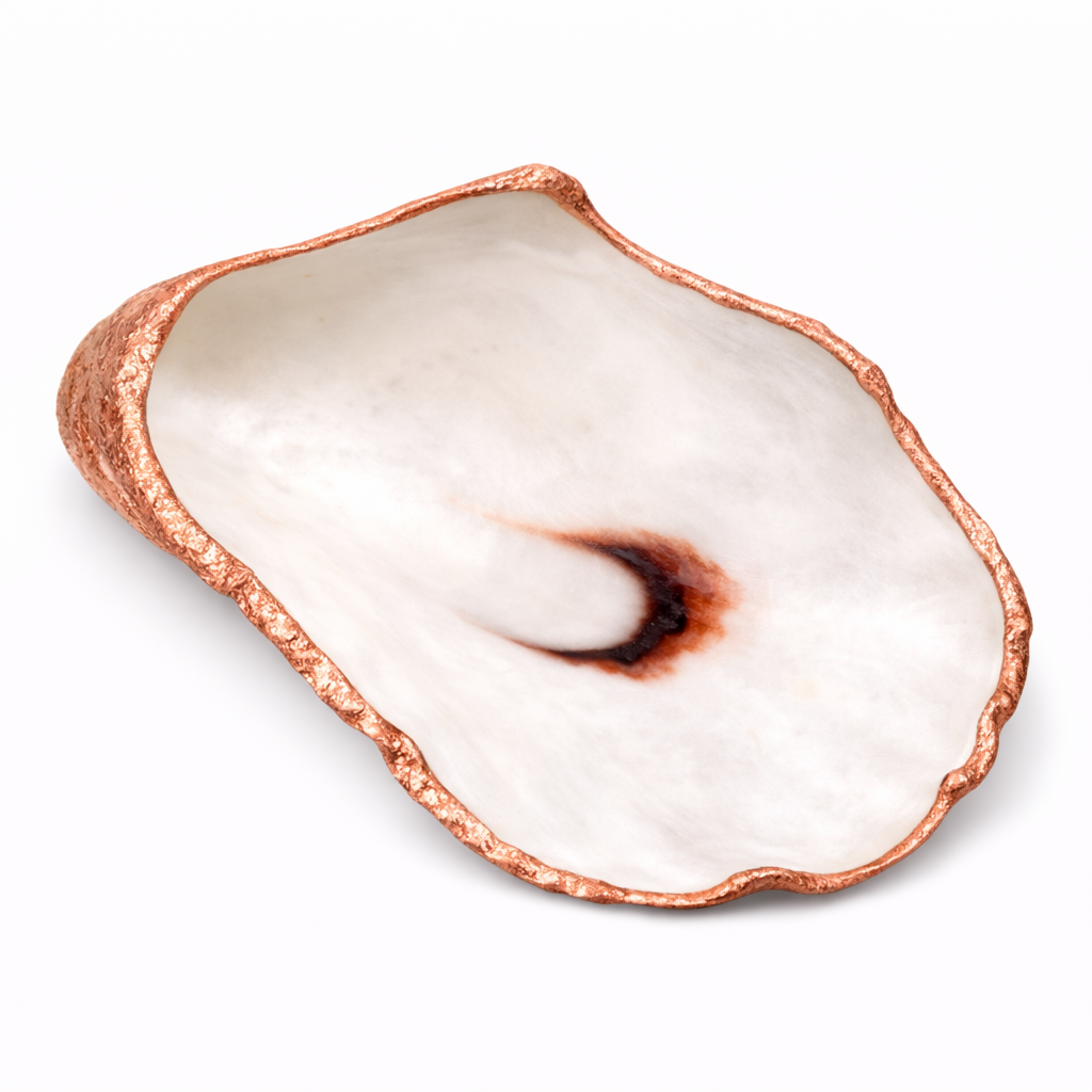 The Seagrove Oyster