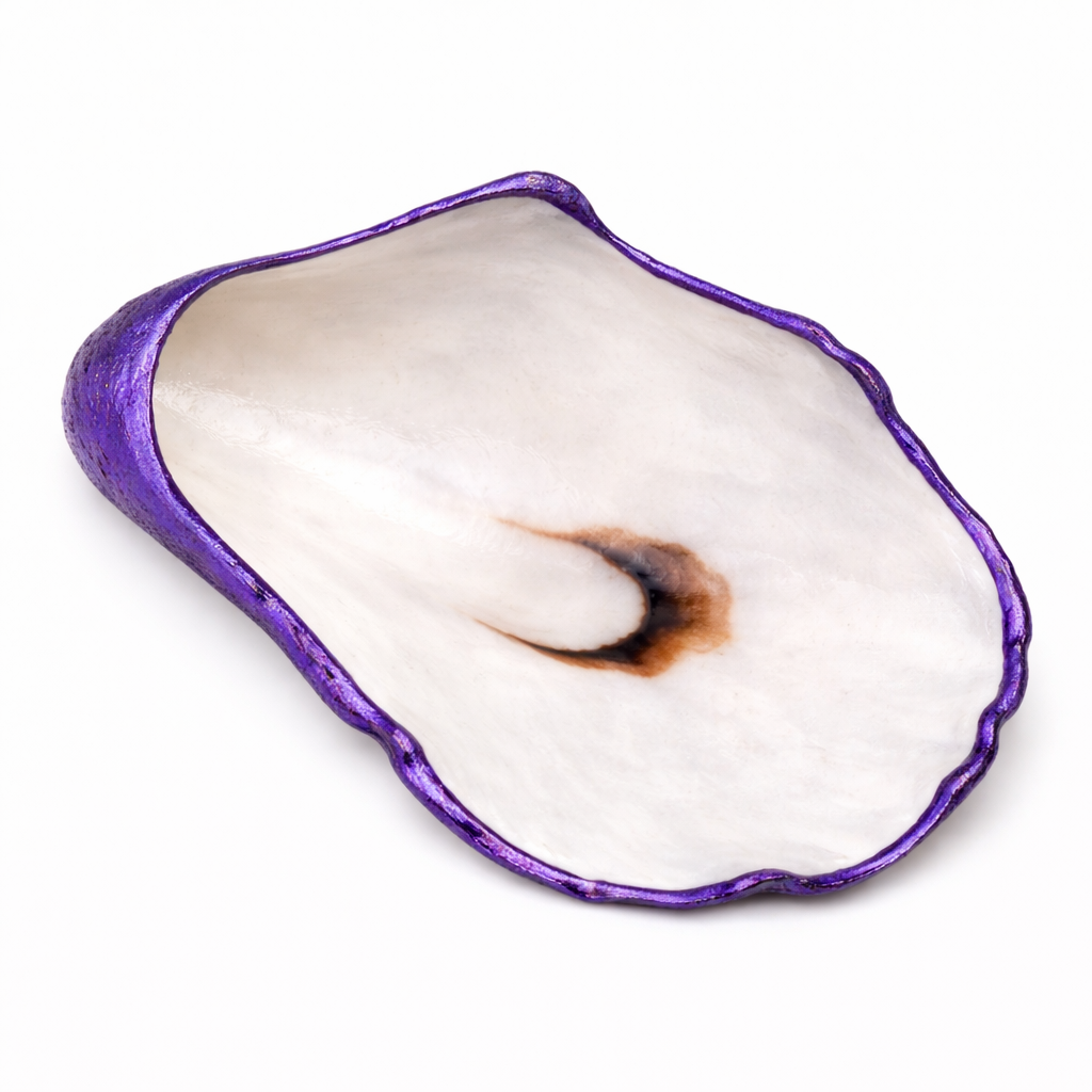 The Seagrove Oyster