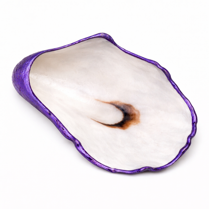 The Seagrove Oyster