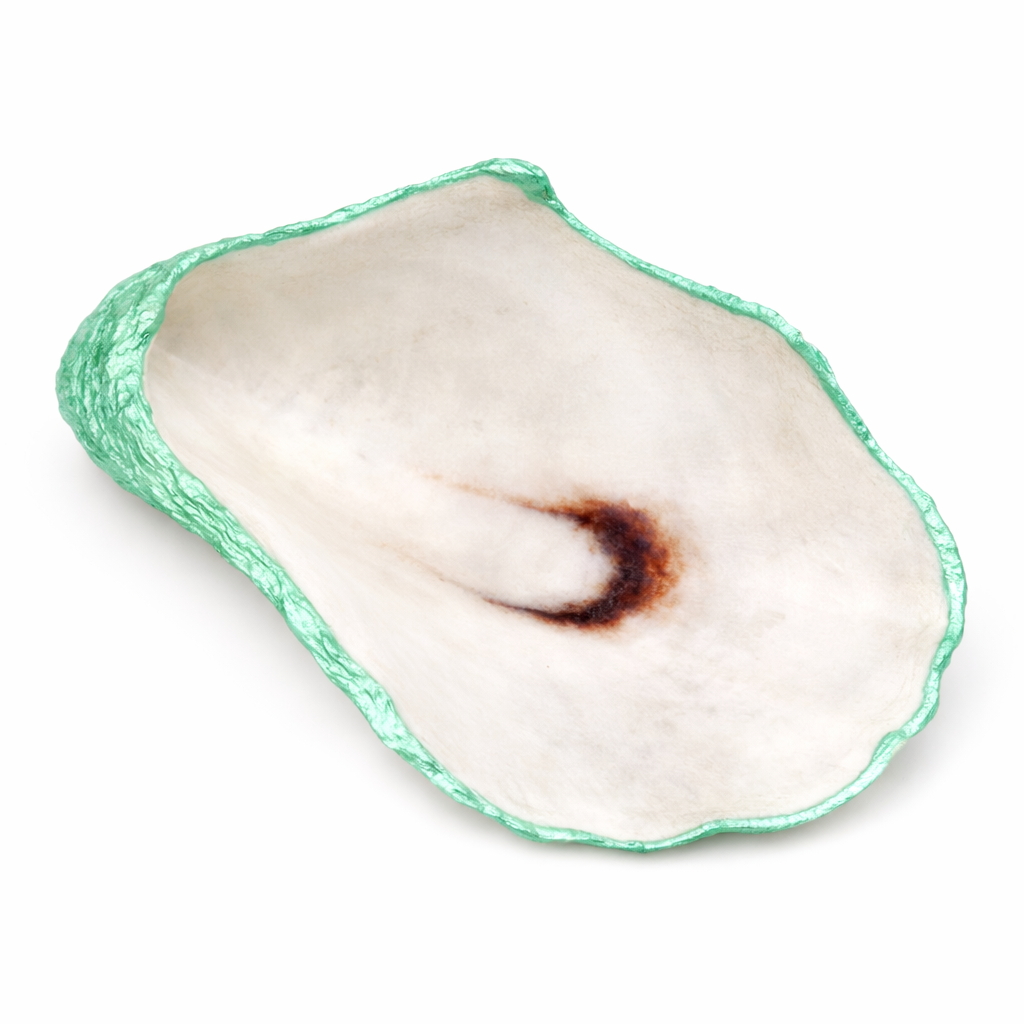The Seagrove Oyster