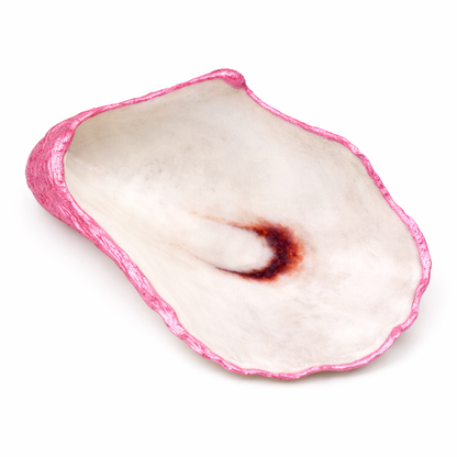 The Seagrove Oyster