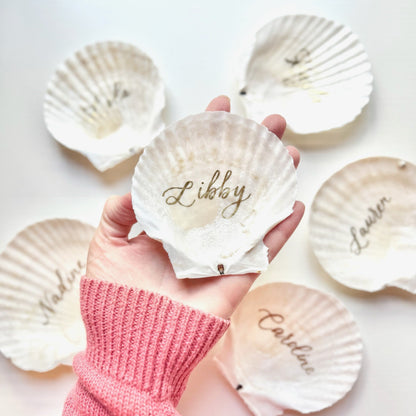 The Siesta Scallop