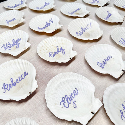 The Siesta Scallop
